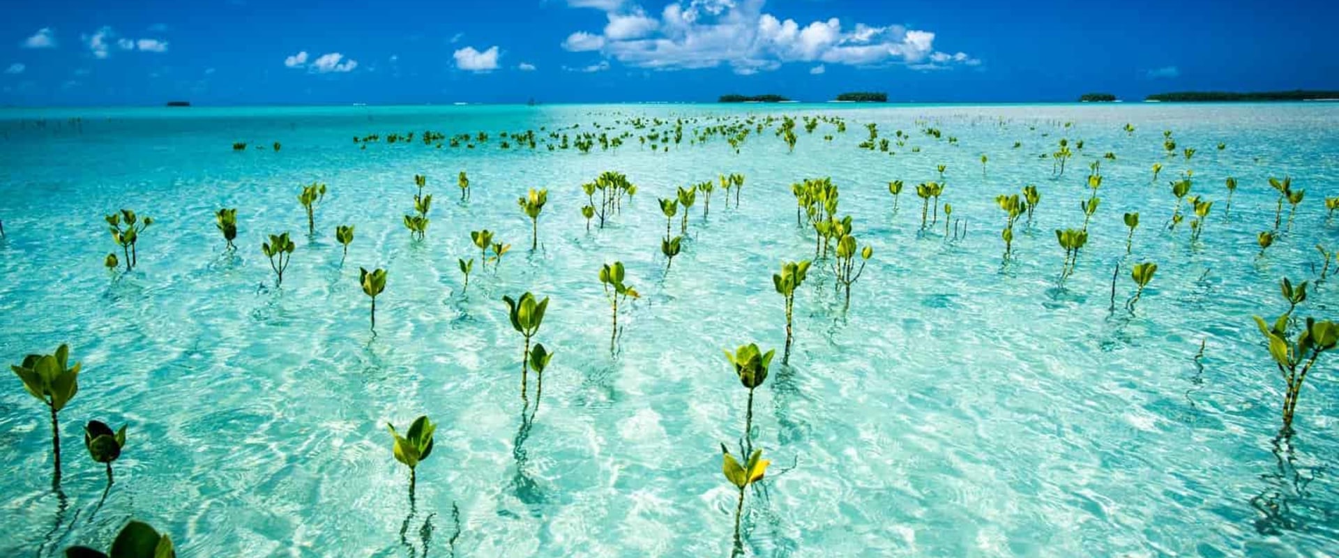 How many tourists visit tuvalu?
