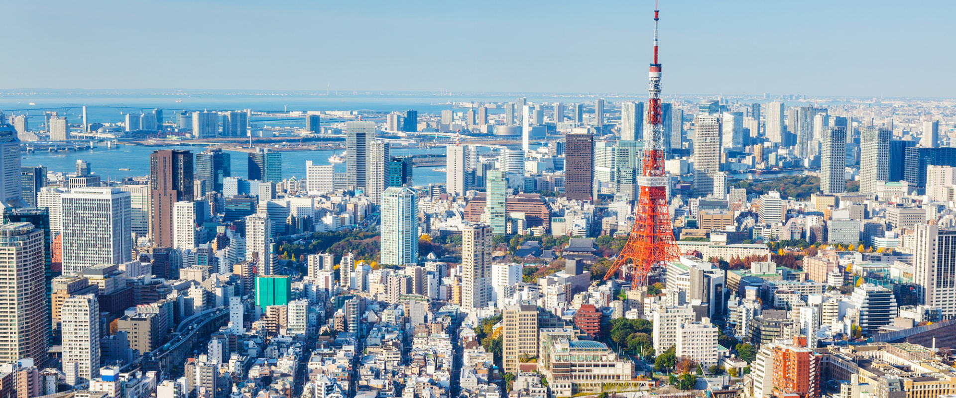 What is the name of the largest city in Europe?